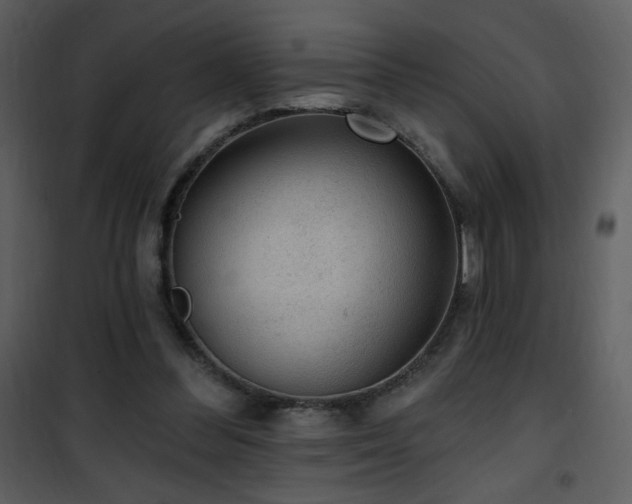 X0000102000300200807181211