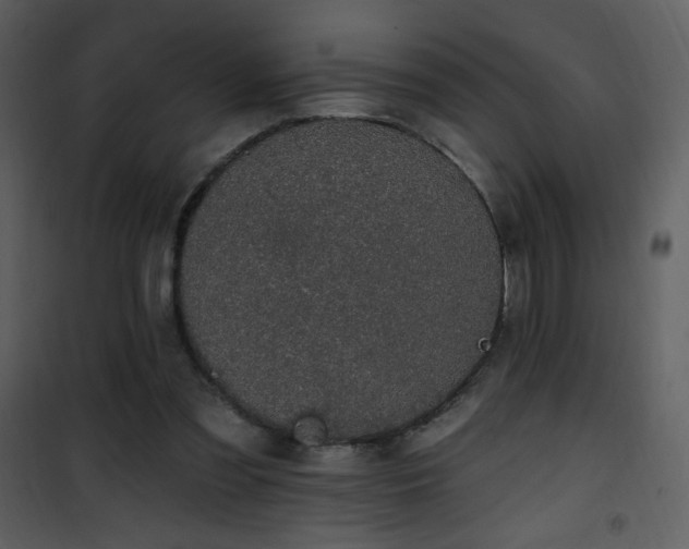 X0000102000301200807181211