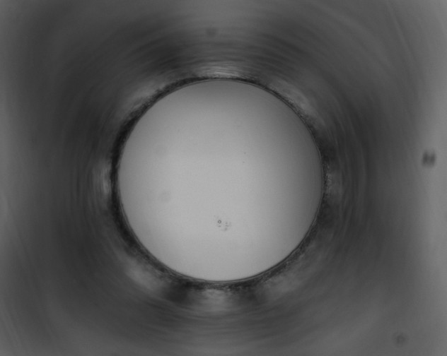 X0000102000302200807181211