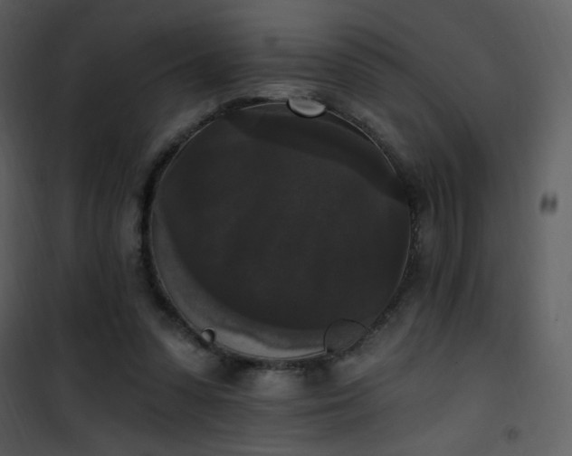 X0000102000303200807181211