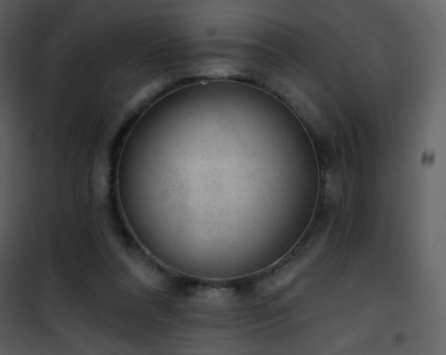 X0000102000304200807181211