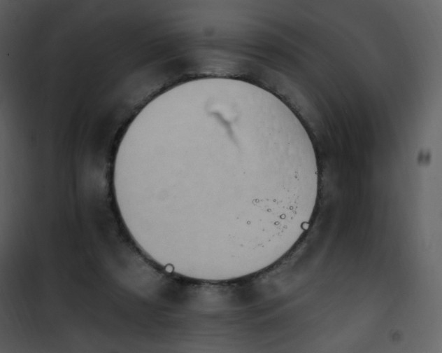 X0000102000305200807181211