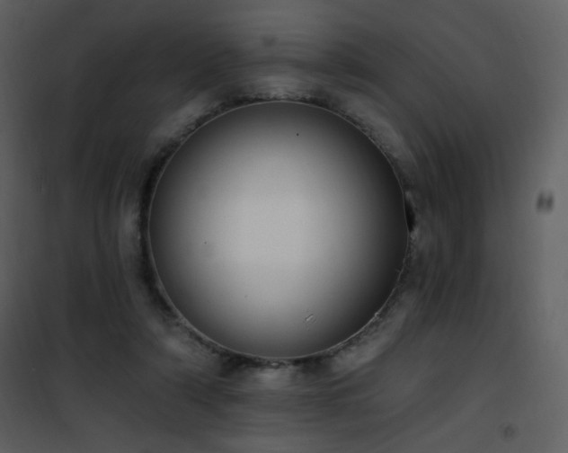 X0000102000306200807181211