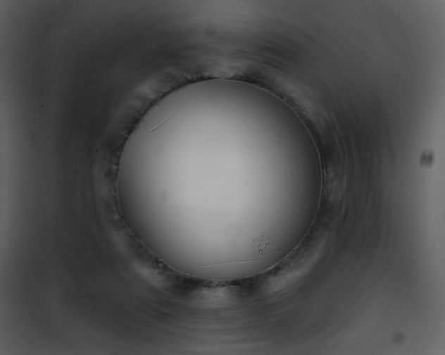 X0000102000307200807181211