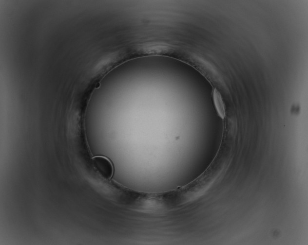 X0000102000308200807181211