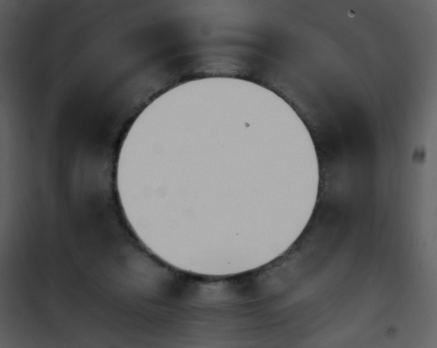 X0000102000309200807181211