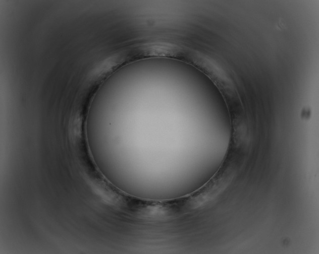 X0000102000310200807181211