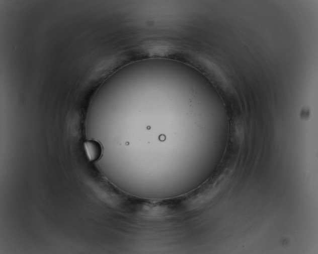 X0000102000311200807181211