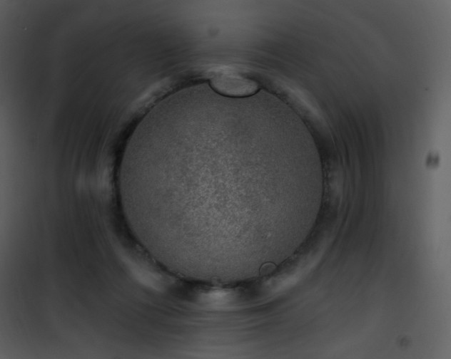 X0000102000312200807181211