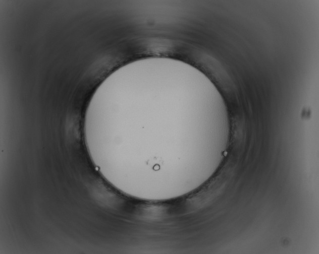 X0000102000313200807181211