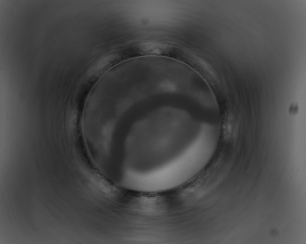 X0000102000314200807181211