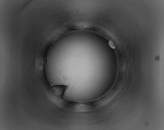 X0000102000315200807181211