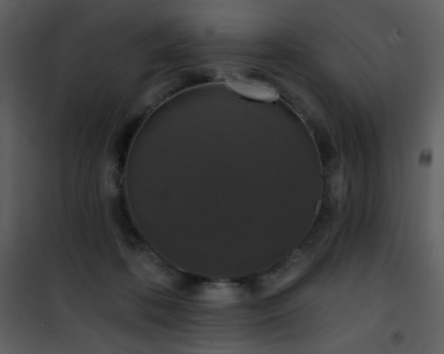 X0000102000316200807181211