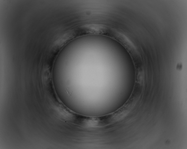 X0000102000318200807181211