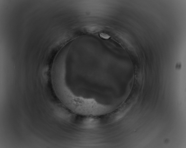 X0000102000319200807181211