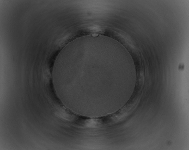 X0000102000320200807181211