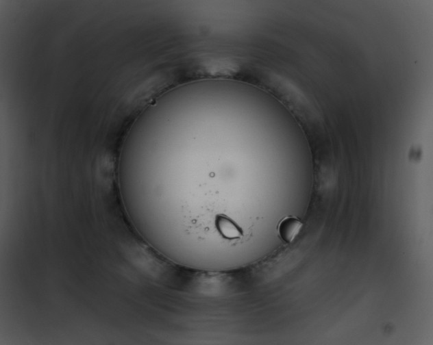 X0000102000321200807181211