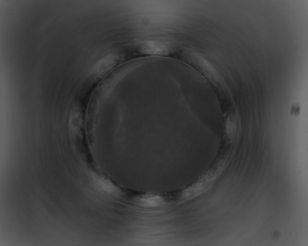 X0000102000322200807181211