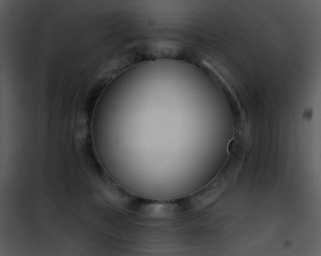 X0000102000323200807181211