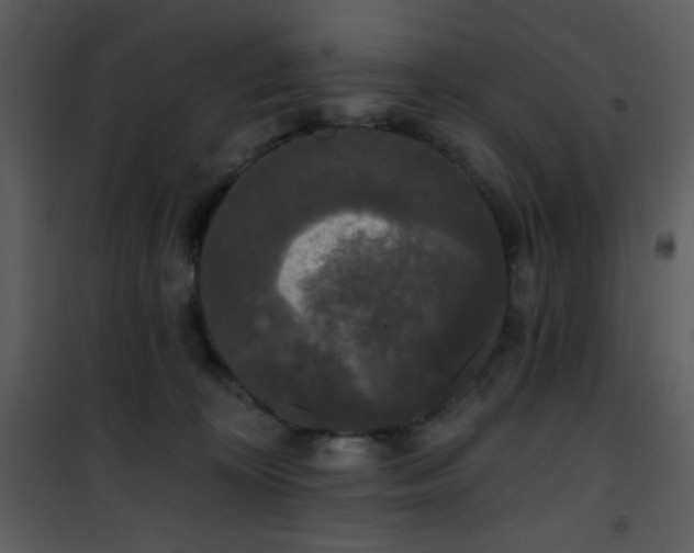 X0000102000324200807181211