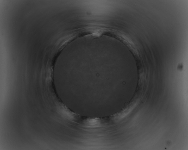 X0000102000325200807181211