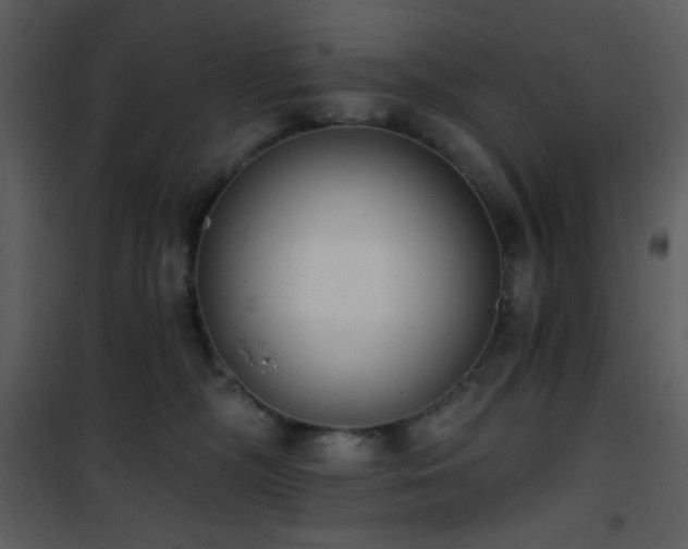 X0000102000326200807181211