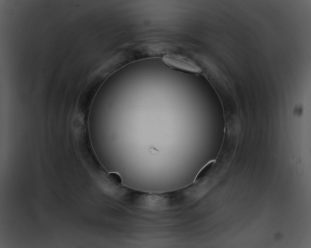 X0000102000327200807181211