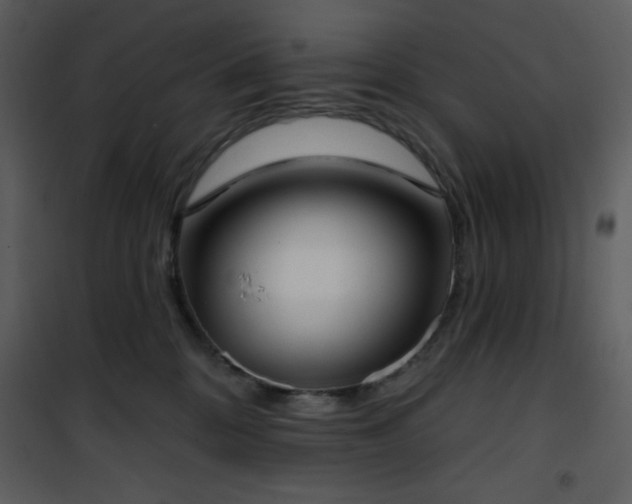 X0000102000328200807181211