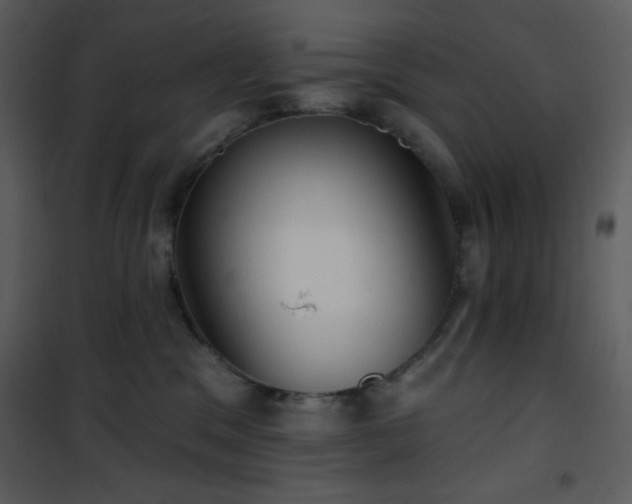 X0000102000329200807181211