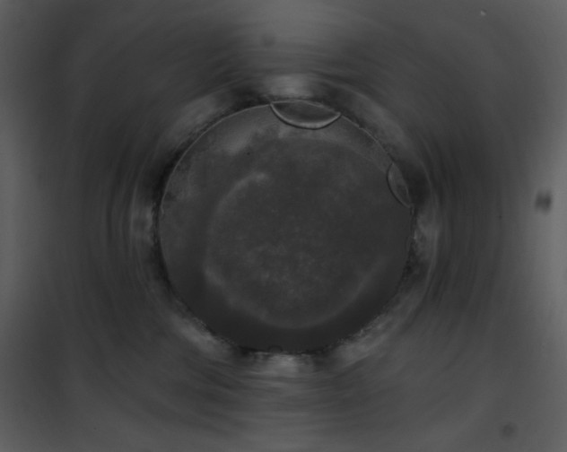 X0000102000330200807181210