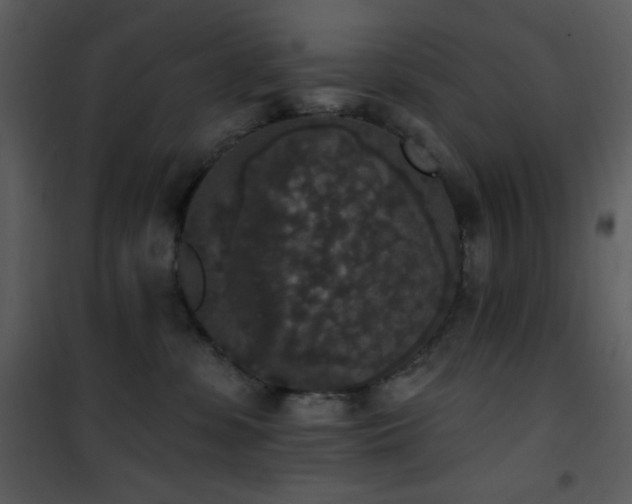 X0000102000331200807181210