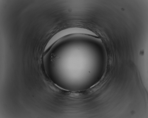 X0000102000332200807181210