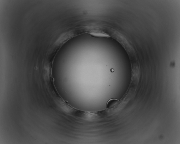 X0000102000333200807181210