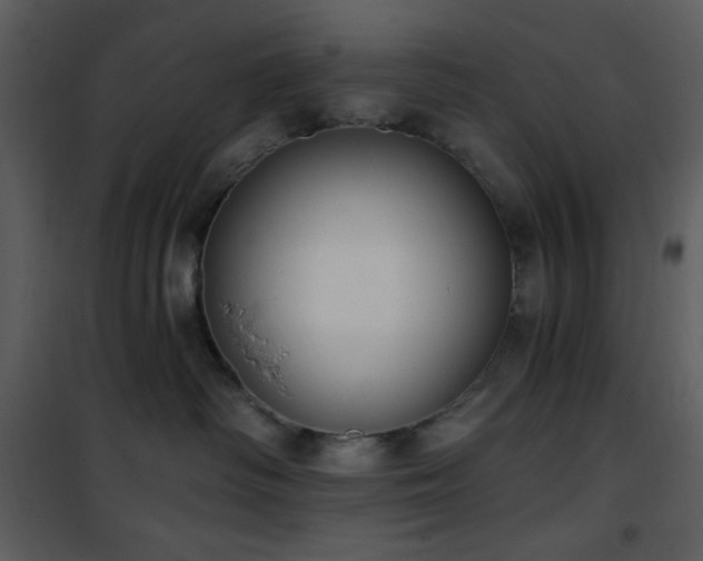 X0000102000334200807181210