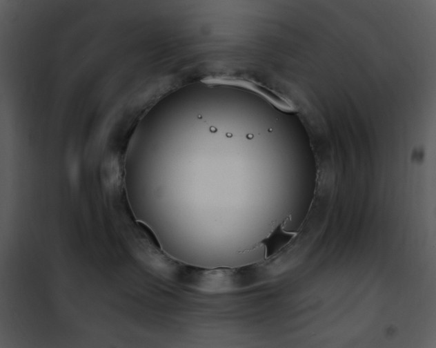 X0000102000335200807181210