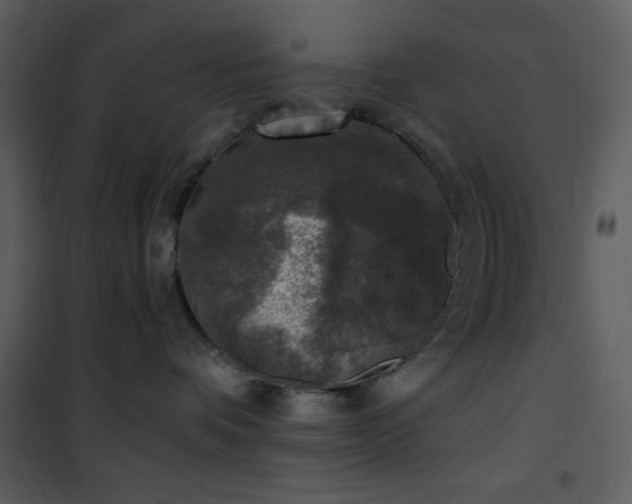 X0000102000336200807181210