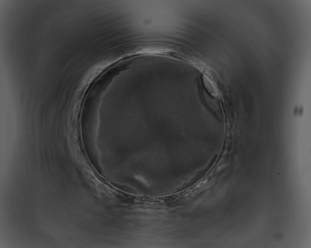 X0000102000337200807181210