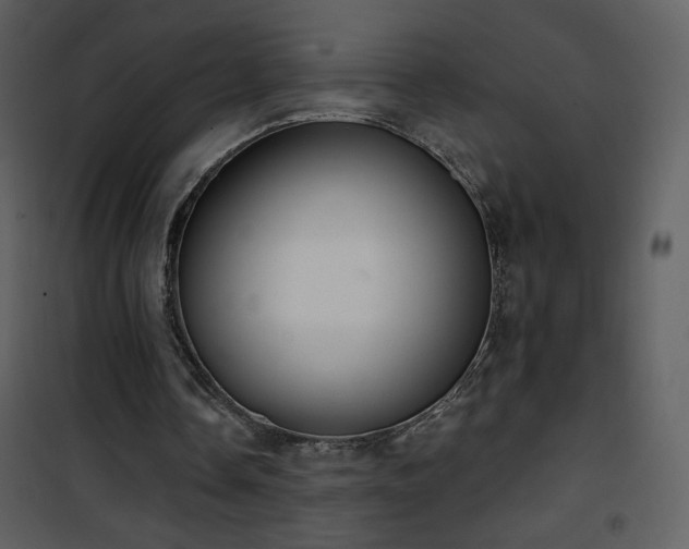 X0000102000338200807181210