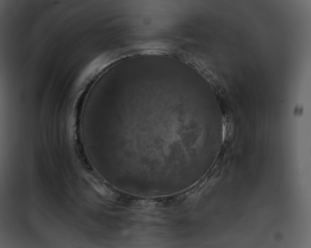 X0000102000339200807181210