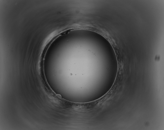 X0000102000340200807181210