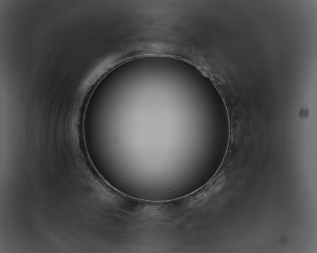 X0000102000341200807181210