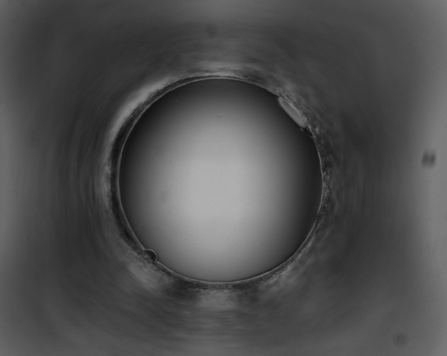 X0000102000342200807181210