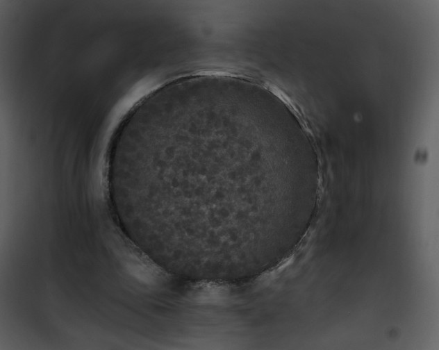 X0000102000343200807181210