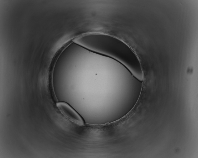 X0000102000344200807181210