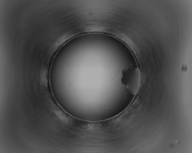 X0000102000345200807181210