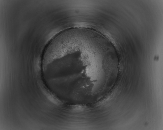 X0000102000347200807181210