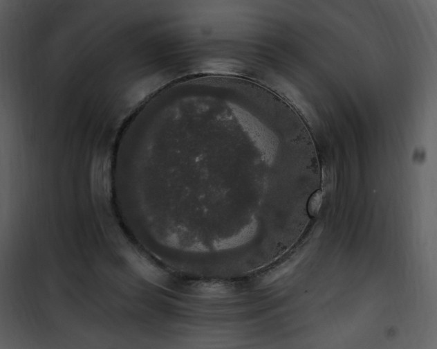 X0000102000349200807181210