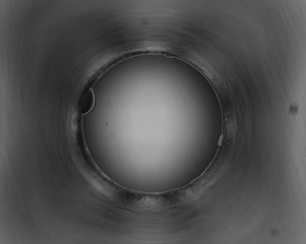 X0000102000350200807181210