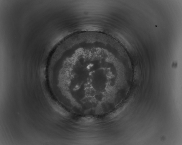 X0000102000351200807181210