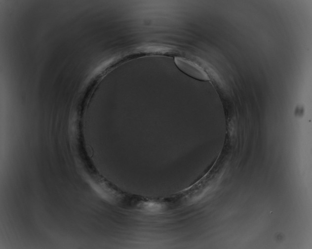 X0000102000352200807181210